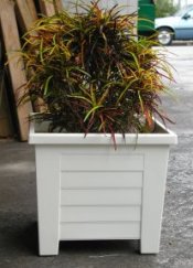 Planter Boxes