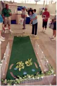 Mini-Golf Course